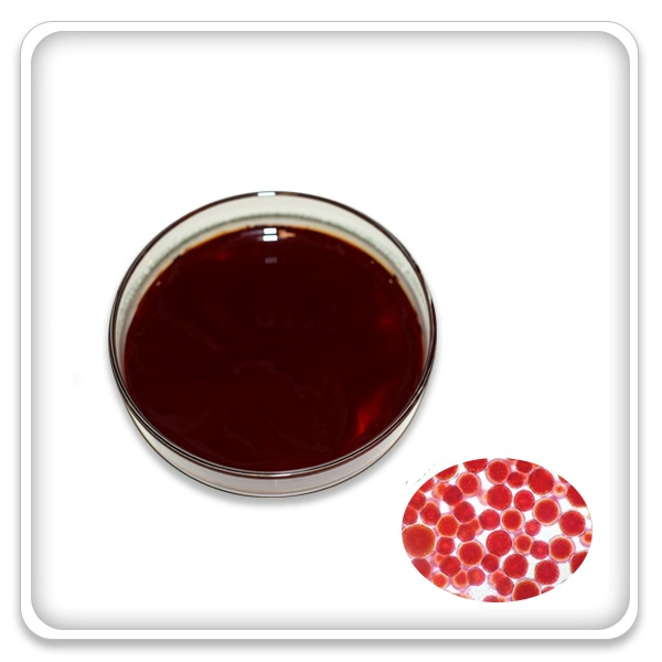 Factory Supply 100% Natural Pure Haematococcus Pluvialis Powder Astaxanthin Powder