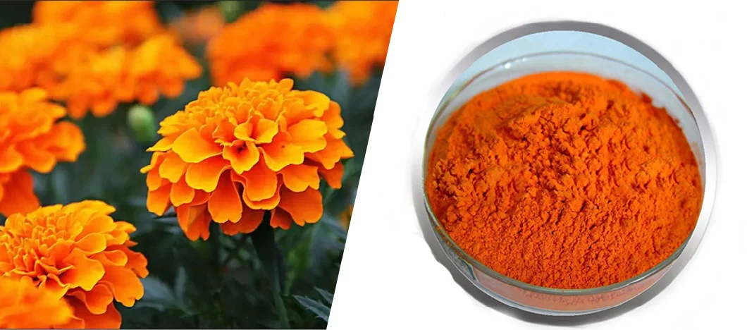 High Effective Natural Organic Lutein Powder CAS 127-40-2 98% 80% Lutein (marigold)