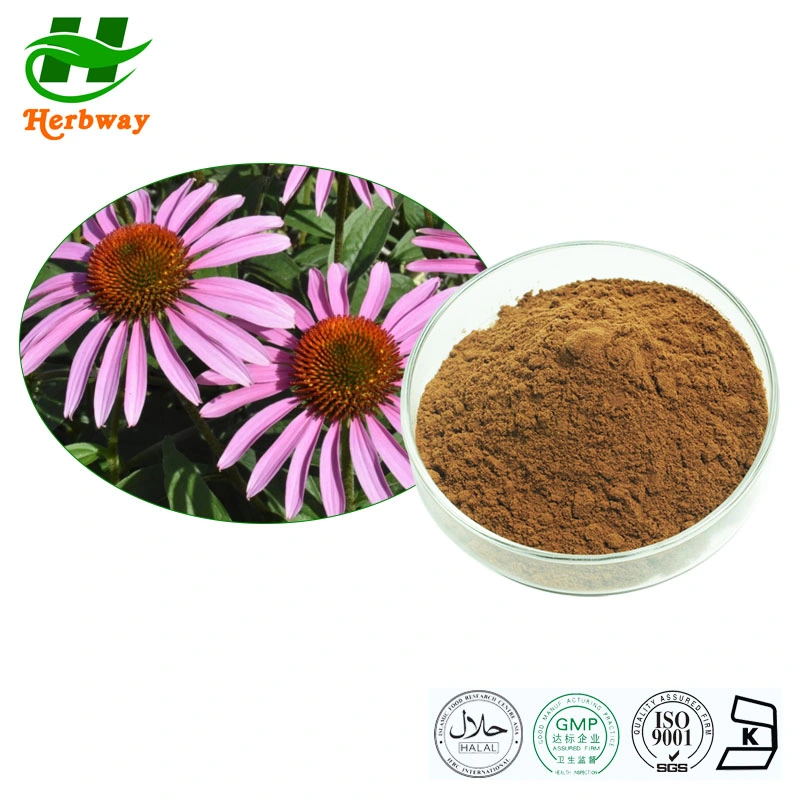 Herbway Free Sample Factory Direct Sale Natural Herb Plant Extract Powder Olea Europea L 20% 40% Oleuropein 10% 20% Hydroxytyrosol Olive Leaf Extract
