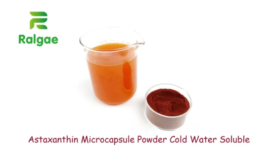 Poudre naturelle de microcapsules d'astaxanthine soluble dans l'eau froide Cws 1 % et 2 % d'astaxanthine