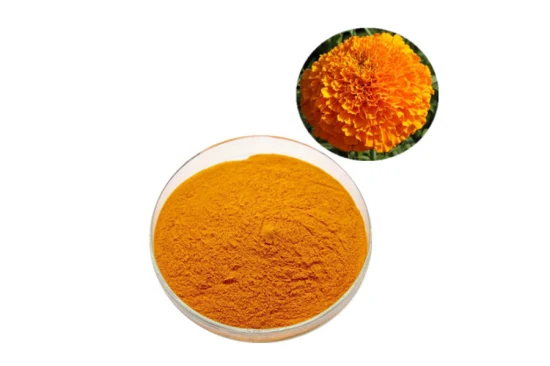 Poudre naturelle de xanthophylle/lutéine de colorant de l'extrait CAS 127-40-2 de fleur de souci